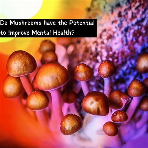 The Role of Set and Setting: Creating a Supportive Environment for Magic Mushroom Habits